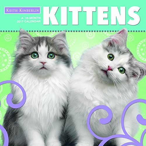 Trends International 2017 Wall Calendar, September 2016 - December 2017, 11.5