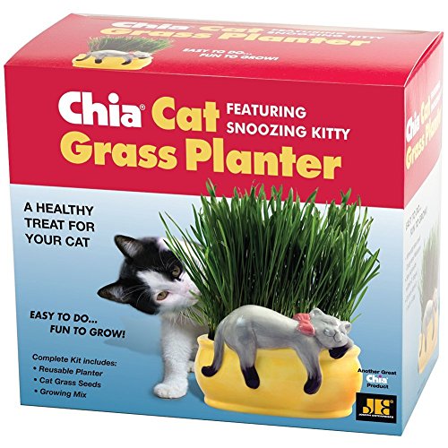 Chia Cat Grass Planter Snoozy Kitty