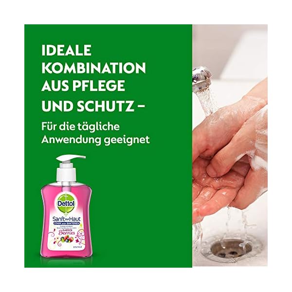 DETTOL-Pump-Soap-Nourishing-Garden-Fruits-250-ml DETTOL Pump Soap Nourishing Garden Fruits 250 ml