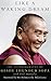 Like a Waking Dream: The Autobiography of Geshe Lhundub Sopa by Lhundub Sopa, Paul Donnelly