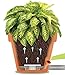 Santino Self Watering Planter Latina 6.9 Inch Jade Indoor/Outdoor Flower Pot with Bottom Watering and Water Level Indicator for All Plants, Flowers, Herbs