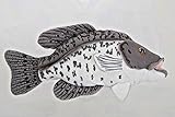 Black Crappie Plush Toy 12.5