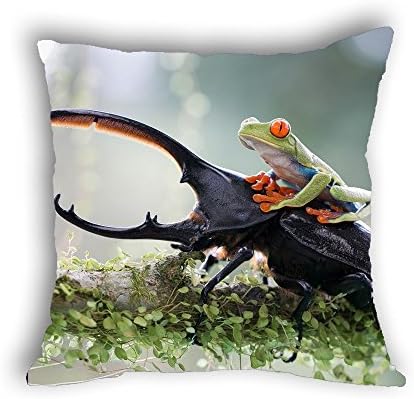 Anlye animal pillowcase Beetle cushion covers green Frog pillowcase personal pillow cover for home d¨¦cor(2 Side Print)
