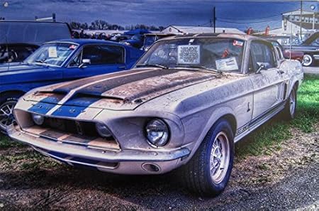 Amazon Com American Collectibles Costa Rica 1968 Shelby Gt350