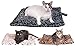 Downtown Pet Supply Thermal Cat Bed - Insulated Cat Mat with Aluminum Film & Sherpa Backing - Washer Safe Faux Fur Cover - Self-Warming Nap - Regular - Animal Print Grey - 22 x 19in
