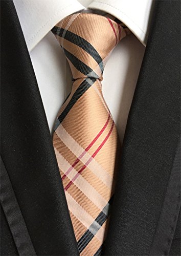 WeiShang Lot 6 PCS Classic Men's 100% Silk Tie Necktie Woven JACQUARD Neck Ties (Style 7) - Thumbnail 6
