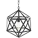 Light Society Geodesic Pendant Light, Matte Black, Geometric Vintage Modern Industrial Lighting Fixture (LS-C110)