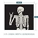 Wamika Rock and Roll Skull Home Decor Tapestries Wall Art Funny Skeleton Tapestry Wall Hanging Boho Hippie Bohemian Tapestry for Dorm Living Room Bedroom Black and White 51 X 59 Inches