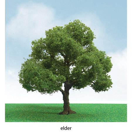 Pro-Elite Tree, Elder 3-3.5" (2)