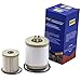 iFJF FD4616 Fuel Filter Lower Lifter Pump Filter and Upper Fuel Bowl Filter Replacement for 6.0L V8 Super Duty F250 F350 F450 F550 2003-2007 Excursion 2003-2005 Replaces 3C3Z9N184CB B07BXW1321