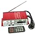 Kinter MA-120 Mini Digital Audio Player 2 Channel USB/MP3/FM Amplifier With Remote sending Line by Dopobo