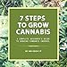 7 Steps to Grow Cannabis: A Complete Beginner's Guide to Growing Cannabis Indoors by Mr. Grow It, Adam Naranjo