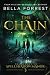 The Secret of Spellshadow Manor 3: The Chain (Volume 3)