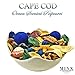 MINX Fragrances Cape Cod Ocean Scented Potpourri