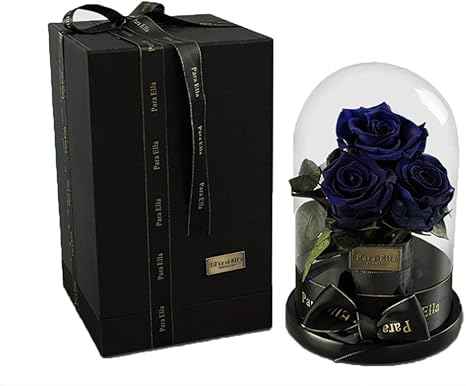 Amazon Jhjje ガラスのドームの美しさと獣のバラ 美と獣のバラキットクリエイティブ ユニーク 結婚祝いお誕生日 母親 恩師に 花資材 オンライン通販