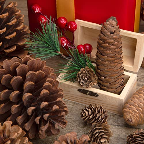 JOHOUSE 50PCS Natural Pinecone Ornaments, Pine Cones Bulk Natural Pinecones Assortment for Fall Winter Christmas Bowl Fillers