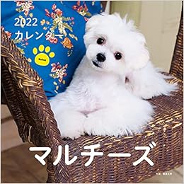 Amazon Co Jp 22年 カレンダー マルチーズ 100名様に1 000円分の図書カードをプレゼント 誠文堂新光社カレンダー 蜂巣 文香 文房具 オフィス用品