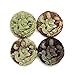 Two Layer Natural Stone Buddhist Mercy Kwan-yin Dragon Amulet Pendant