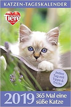 Katzen-Tageskalender 2019 Katzen-Tageskalender 2019