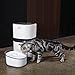 HoneyGuaridan W18 Automatic Pet Water Drinking Fountain, Water Dispenser for Dogs and Cats, 2L (70 oz)