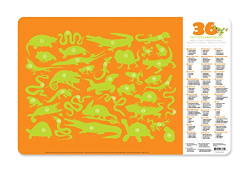 Crocodile Creek 36 Animals/Reptiles & Amphibians 2-Sided Placemat, Green/Orange/Red/Purple
