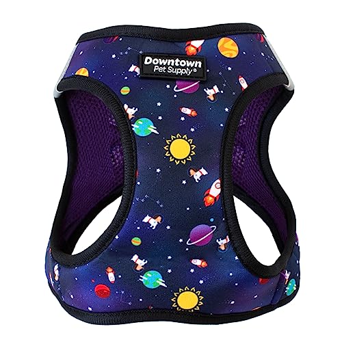 Downtown Pet Supply Step-in Dog Harness for Small Dogs, Space, S, Minimalist with Reflective Trim, No Pull, Adjustable, Padded Mesh Fabric, Reflective Trim for Enhanced Visibility — image 1