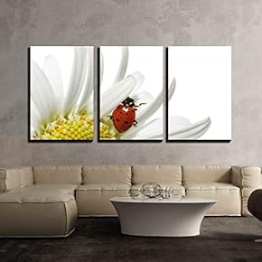 3 Piece Canvas Wall Art - Ladybug on Daisy - Modern Home Art Stretched and Framed Ready to Hang - 16"x24"x3 Panels