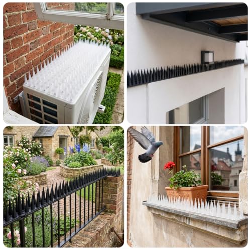 KOKMEYA Anti-Pigeon Spikes Plastic (2 m, 6 Pieces, Transparent) – Bird Repellent for Balcony, Gutter & Guardrail – Against Pigeons, Seagulls & Cats – Resistant