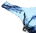 Women's Multi Digital Printed Crop Vest Tank Tops (Coconut tree) , One Size