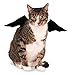 Rubie's Pet Costume Bat Wings, Small to Medium