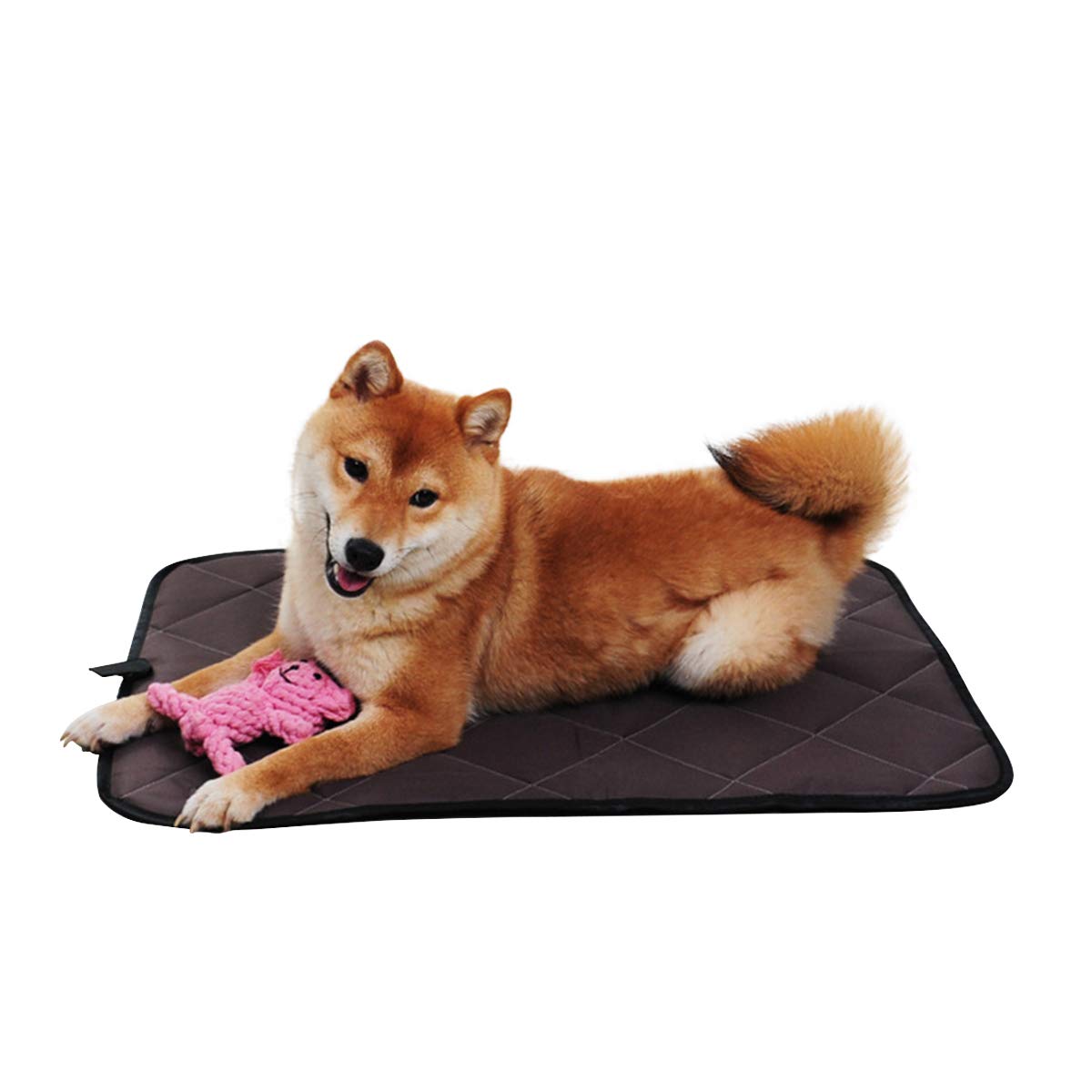 PETCUTE Dog bed Crate mat Pet Mat Waterproof Pet Bed Mattress dog mat for car travel X-large