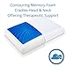ViscoSoft ARCTIC GEL Memory Foam Pillow – Cooling Gel, Molded Memory Foam, Removable Cover – Best Head, Neck Support – Hypoallergenic – Standard