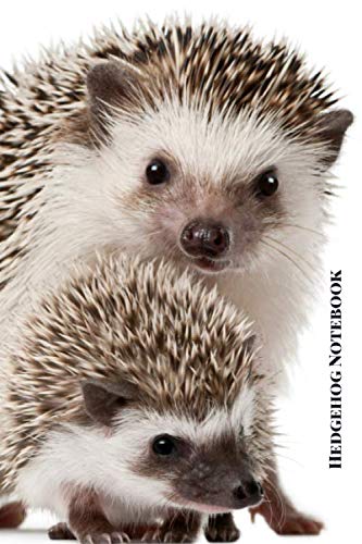 Hedgehog Notebook: Small lined Hedgehog notebook - Travel Journal to write in - 120 pages - 6"x9"
