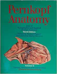 Pernkopf Anatomy, Vol. 2: Atlas of Topographic and Applied Human