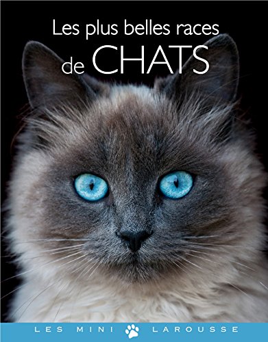 Les  plus belles races de chats