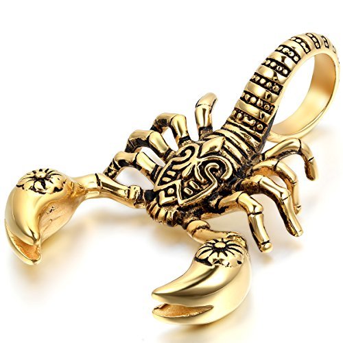 Oidea Stainless Steel Mens Gothic Scorpion Pendant Necklace for Biker,Gold,Silver,22 Inch Chain Included
