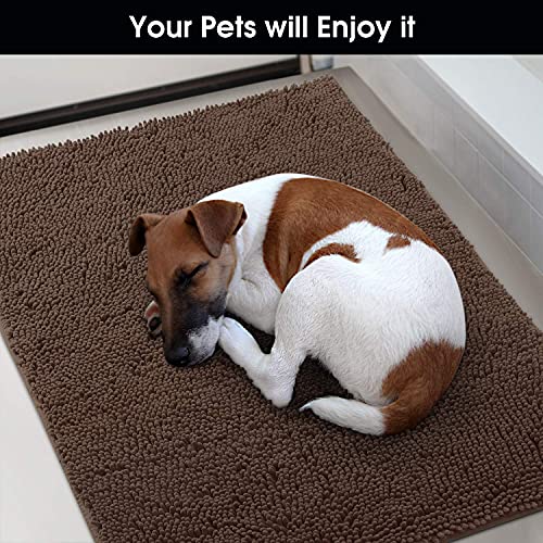 HOMEIDEAS Durable Chenille Absorbent Door Mat Indoor, 30"x48", Large Mud Room Mat, Traps Water