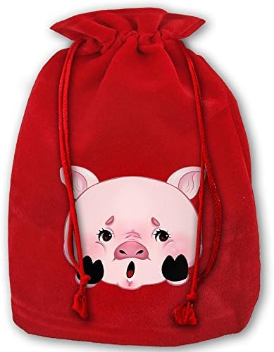 HERSON Peggy-piggy Pattern Design Santa Sack Christmas Bag 14"X18"