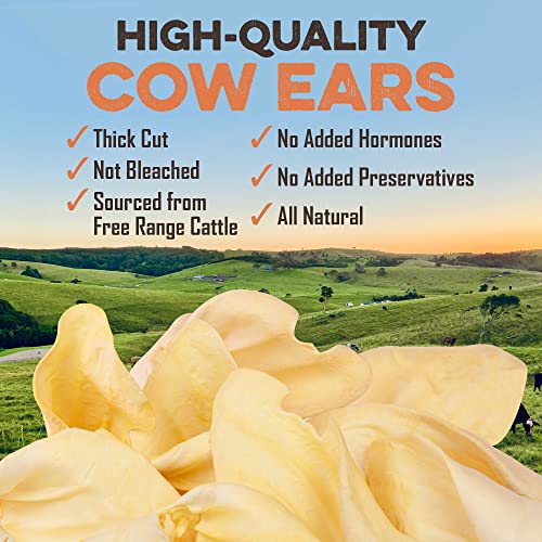 Premium Cow Ears For Dogs, Thick Cut & AllNatural Whole Ears, 100