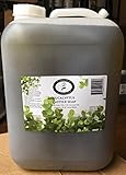 Eucalyptus Castile Soap