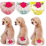 3-Piece Set Lillypet® Dog Puppy Diaper Sanitary Pants Underwear Panty Female Girl For SMALL Breeds Flower Rose Lace Green Pink Yellow (M)