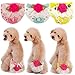 3-Piece Set Lillypet® Dog Puppy Diaper Sanitary Pants Underwear Panty Female Girl For SMALL Breeds Flower Rose Lace Green Pink Yellow (M)