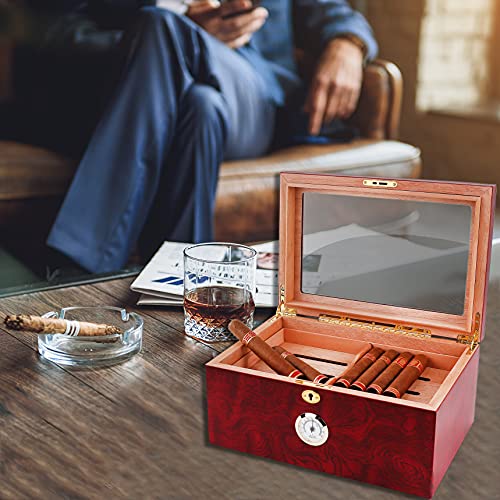Mantello Cigars Large Glasstop Cigar Humidor Humidifier Box for Up to