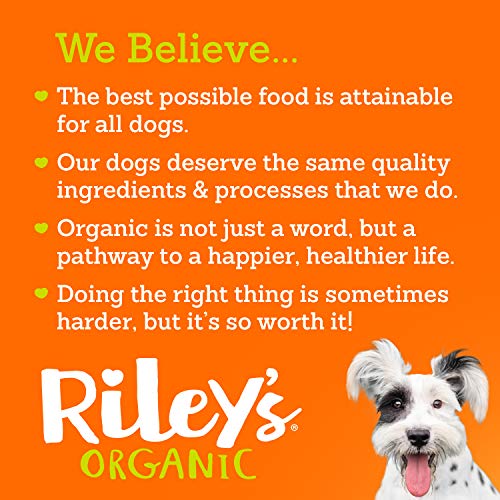 Riley's Organic Dog Treats - Small Bone Sweet Potato Dog Treats - USDA Organic, Certified Vegan and Non GMO Project Verified Dog Biscuits - 100% Human Grade - 9 Oz Carton