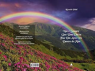 Livro Não é Sempre Que Uma Chuva Faz Um Arco-íris Dentro de Mim