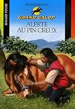 Image de Alerte au Pin creux (French Edition)