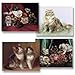 Cat Tales - Box Set of 12 Assorted Greeting Cards and Patterned Envelopes