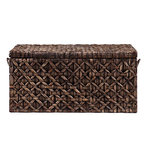Southern Enterprises AMZ6210KC Storage Trunk, Blackwashed