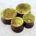Pair - Pistachio Green Glass Essential Oil Ear Plugs Organic Handmade Ceramic double-flared body jewelry