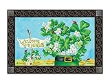 Shamrocks and Ladybugs Matmate (Insert Only)